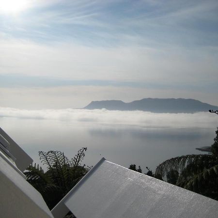 Te Whare -Lake Tarawera Tree-Top Nest Hotel Eksteriør billede