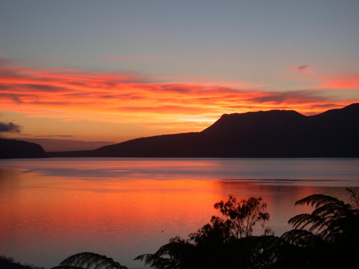 Te Whare -Lake Tarawera Tree-Top Nest Hotel Eksteriør billede